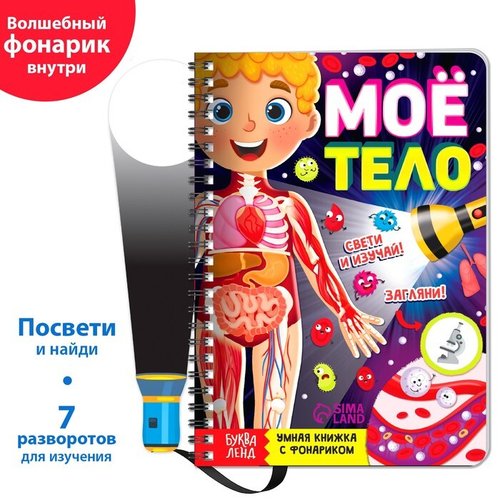 Умная книжка с фонариком «Моё тело» Свети и изучай
