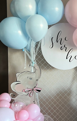 Домашняя фотозона на гендер пати №3455