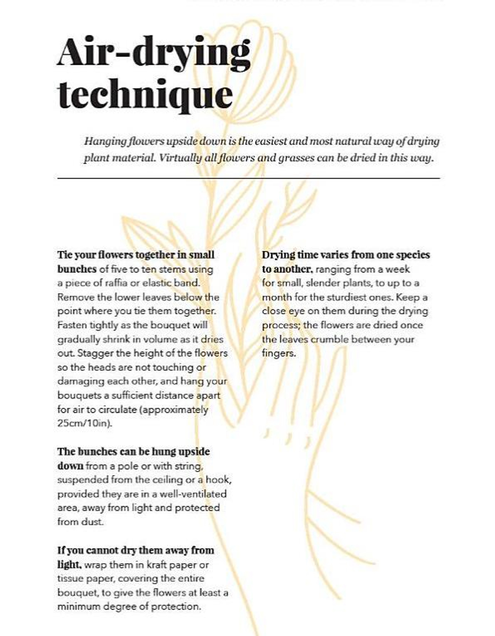 Dried Flowers: Techniques and Ideas for the Modern Home