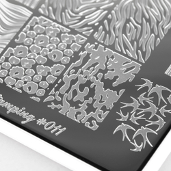 Swanky Stamping Пластина для стемпинга Arti for you 011.