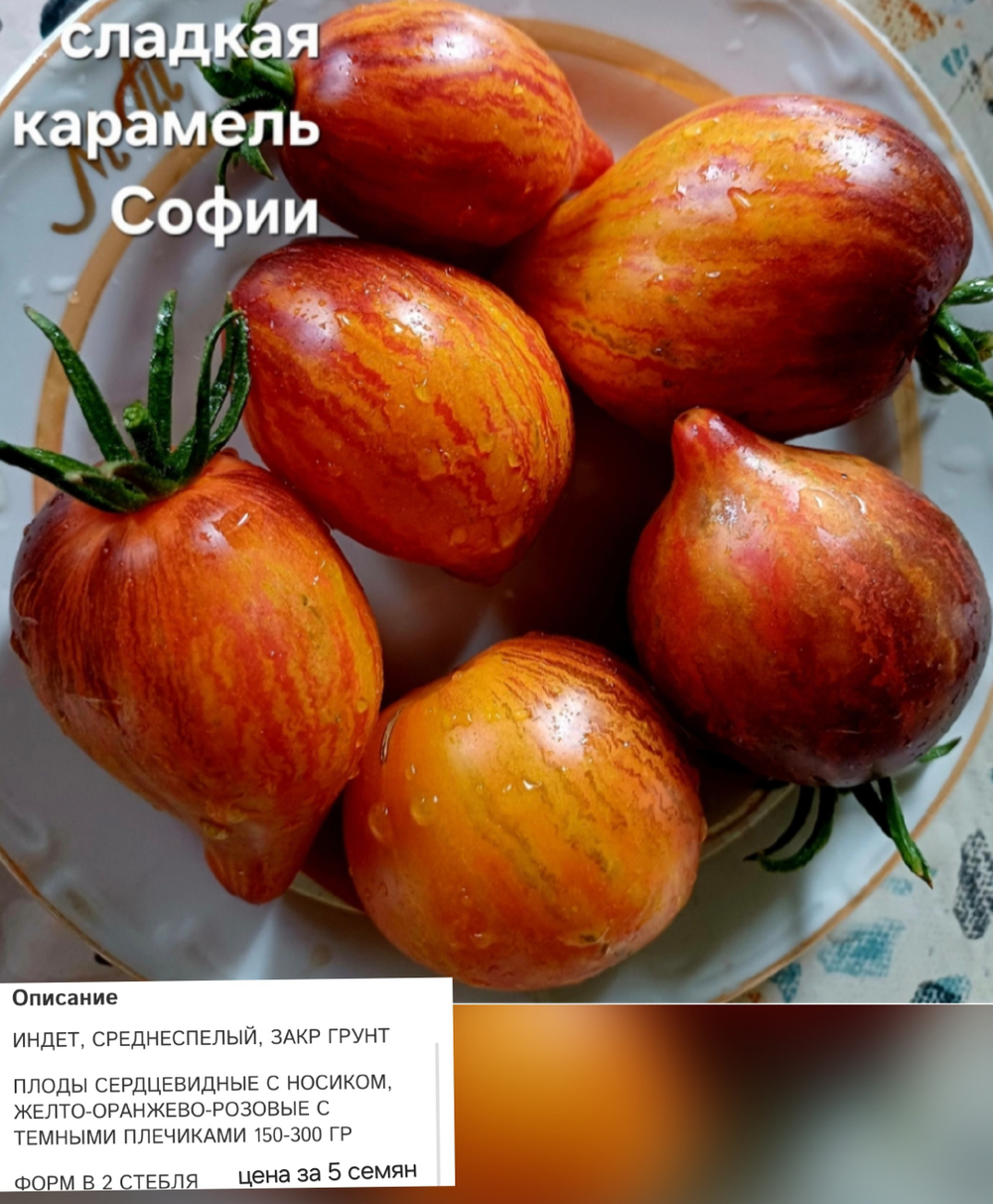 СЛАДКАЯ КАРАМЕЛЬ СОФИИ