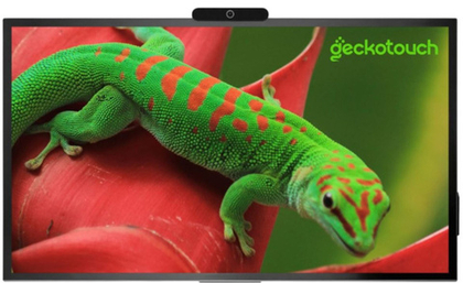 Интерактивный комплекс Geckotouch 65R