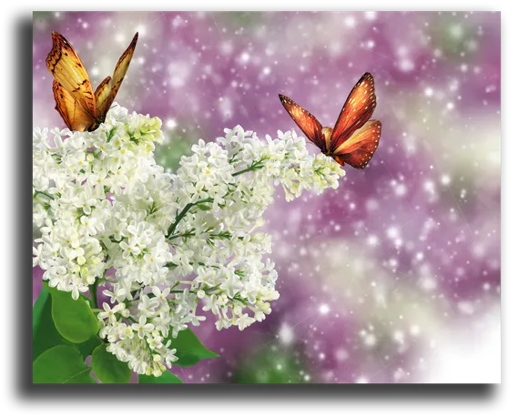 Постер "Веточка сирени"