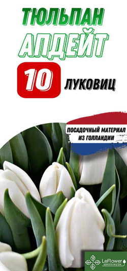 Тюльпан Луковица, Апдейт, 10шт