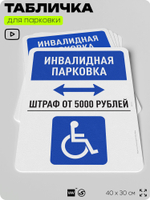 Табличка для парковки "Инвалидная парковка", для дома, офиса, организаций, 40х30 см, Silver Plane x Айдентика Технолоджи