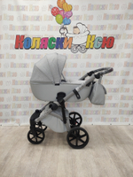 Коляска модульная Adamex Nola Natura N-9-Moon