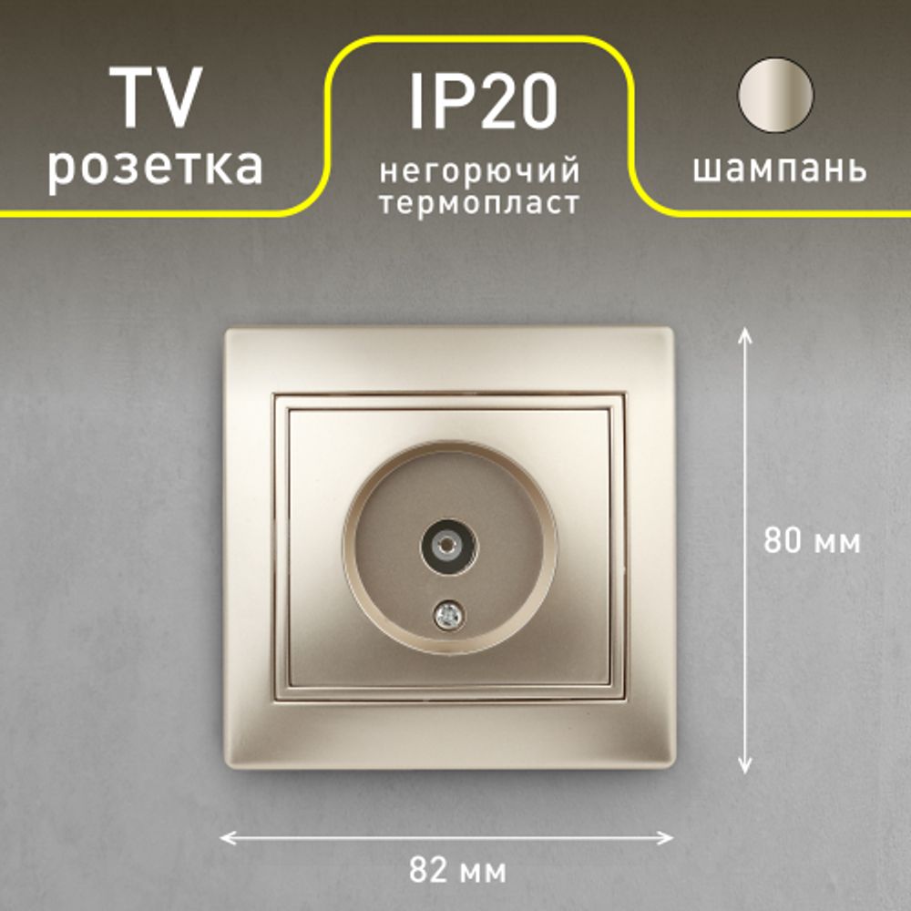 Розетка Intro Plano 1-301-04 TV одиночная, IP20, СУ, шампань