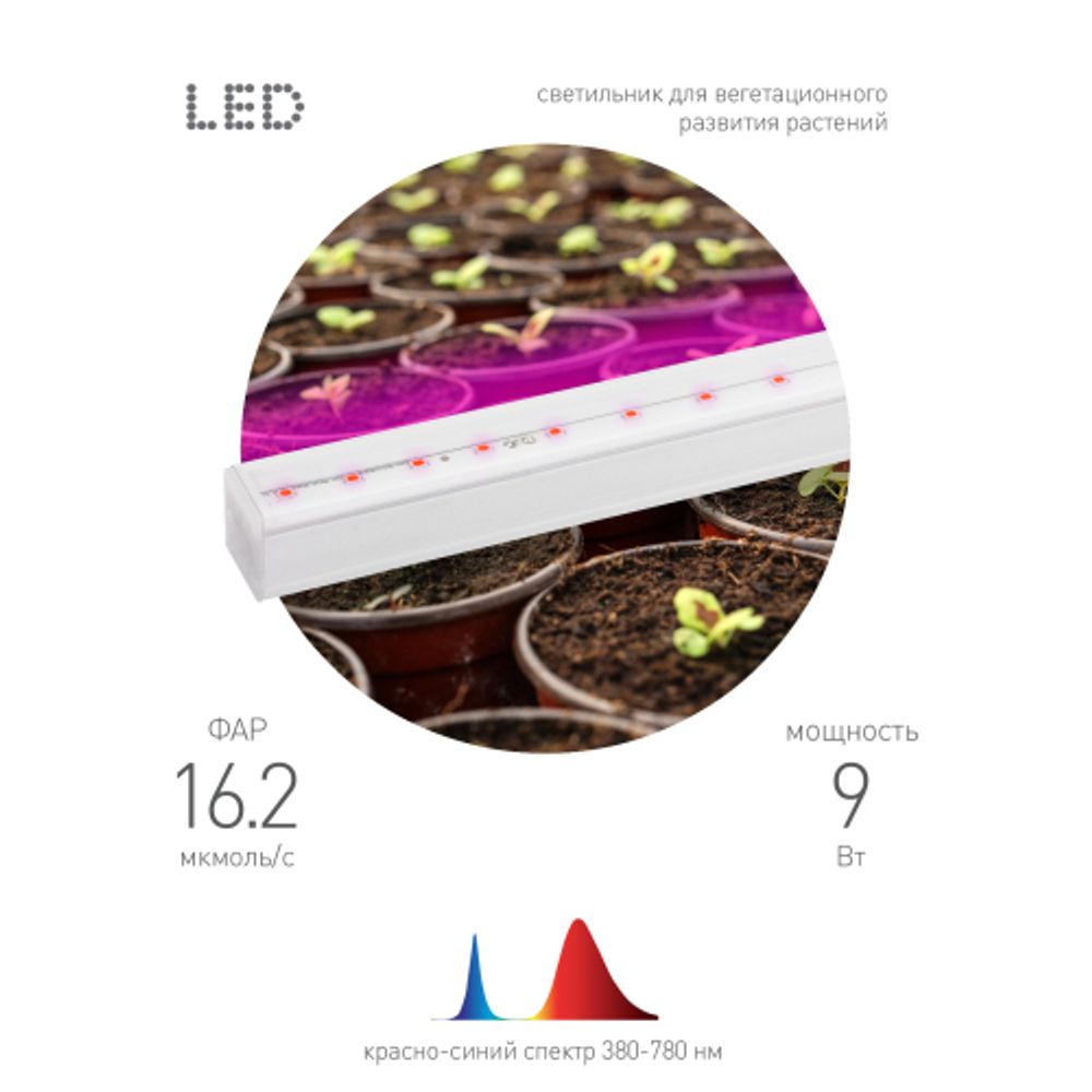 Светильник для растений, фитолампа светодиодная линейная ЭРА FITO-9W-Т5-N красно-синего спектра 9 Вт Т5 | Линейные фито светильники