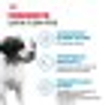Royal Canin Maxi Adult 5+ Макси Эдалт Корм сухой для взрослых собак крупных пород старше 5 лет 4кг