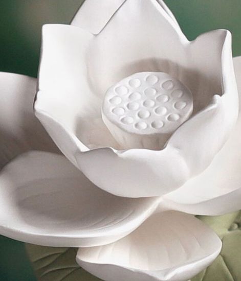 Lotus, ароматический диффузор с необычными палочками, Chando