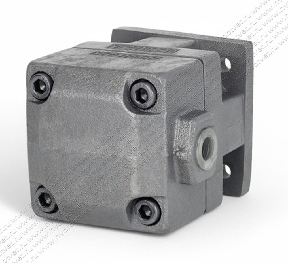 БГ12-41А - Пластинчатый нерегулируемый насос с рабочим объемом 6,3 см3, 100 бар (YB-D6.3U)