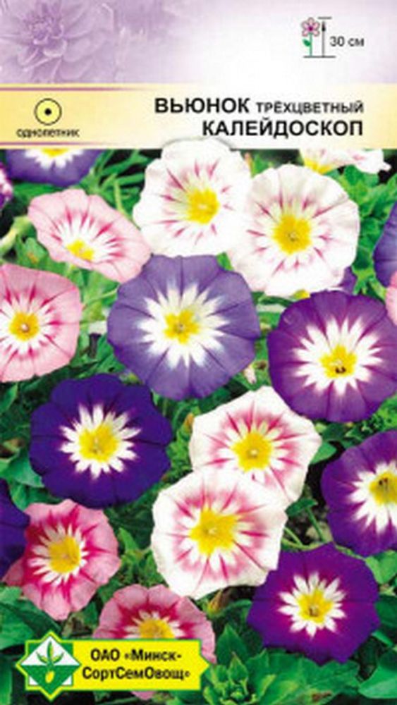 Вьюнок трёхцветный "Калейдоскоп" 1г, Германия. Вьюнок трёхцветный "Калейдоскоп" 1г, Германия.