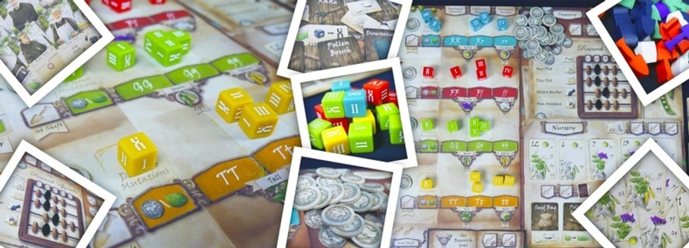 Генотип: Генетика Менделя