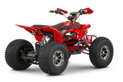 Квадроцикл YACOTA E-SPORT 3000W LD электро