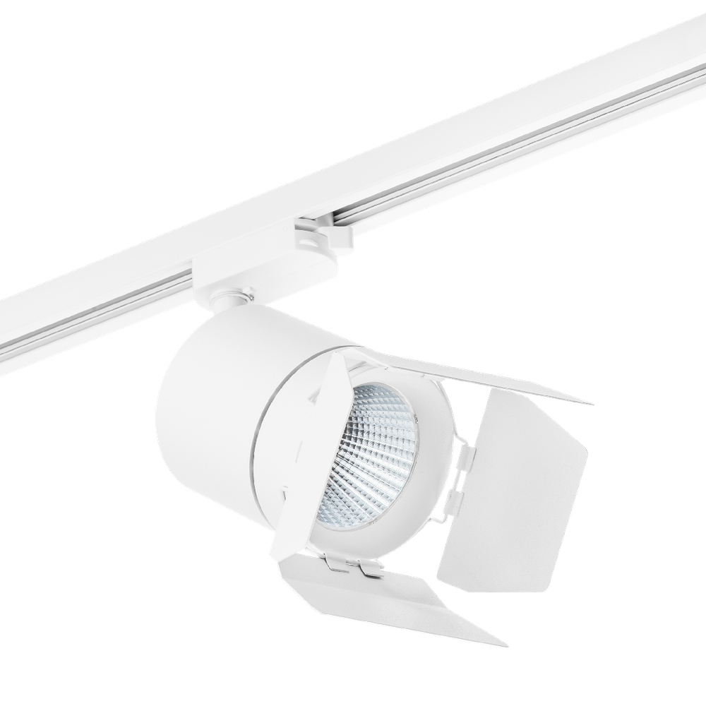 Светильник на штанге Lightstar Canno C126496