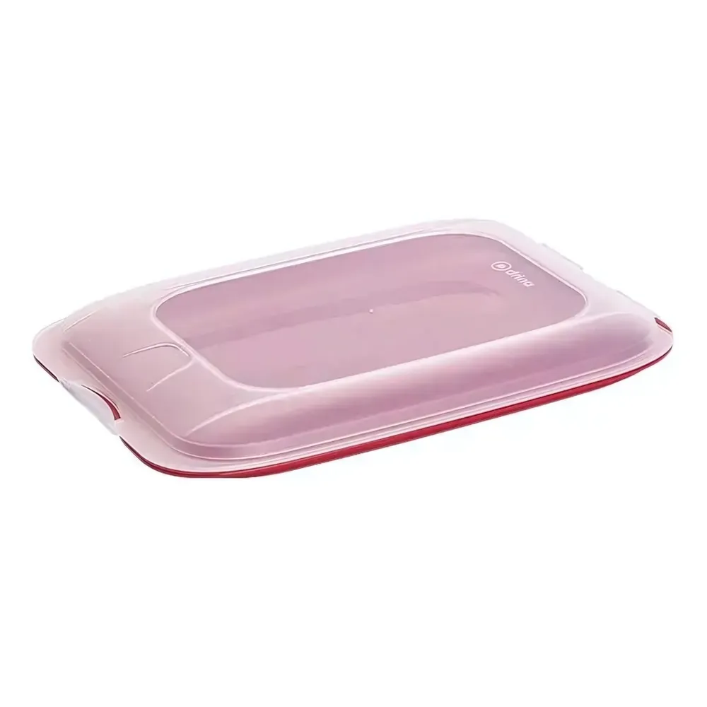 Контейнер пищевой Tanino 25*17*3,5, Кораловый, DRINA