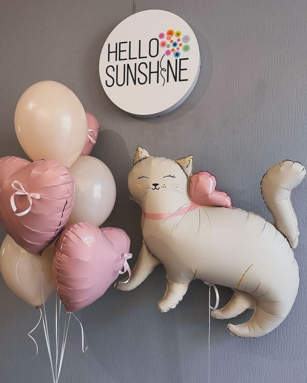 Набор шаров «Нежная кошечка»