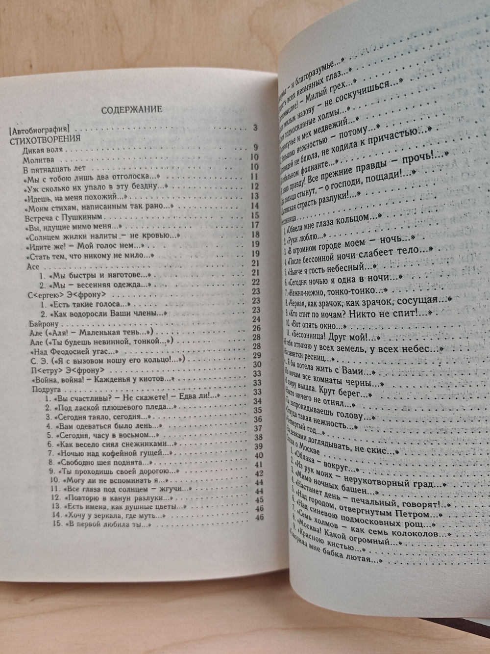 Марина Цветаева (Библиотека поэзии)