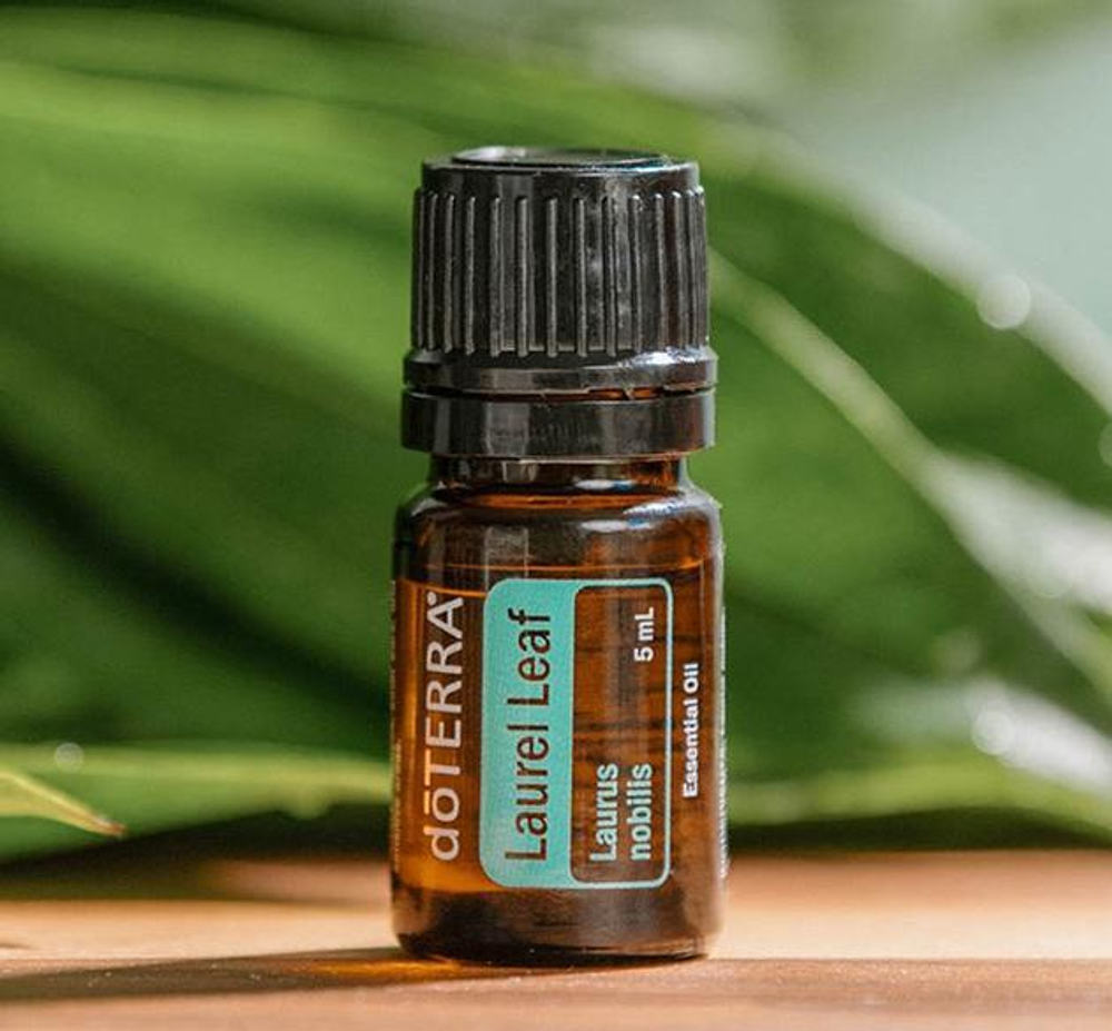 Эфирное масло doTERRA Лавровый лист, Laurel Leaf, 5 мл