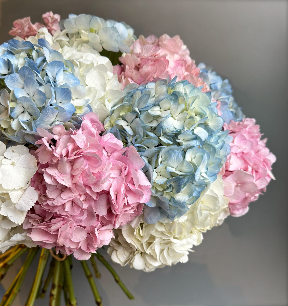 Букет из гортензии "Сладкая вата"