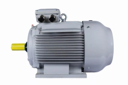 Электродвигатель ESQ PR 315 S4-SDN-Б1-S12-IE3 110/1500 IMB3