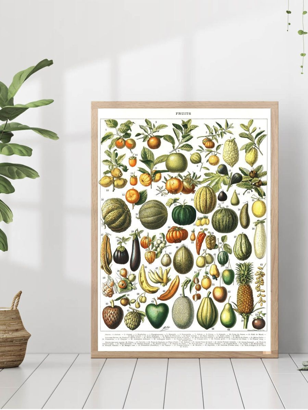 Набор постеров 40х50 овощи 2 шт арт 157051373 ТТН  246259051