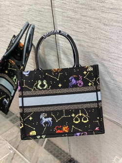 Christian Dior Book Tote 26 cm