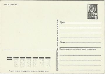 Открытка "Поздравляю!" фото И. Дергилева (Лилии)