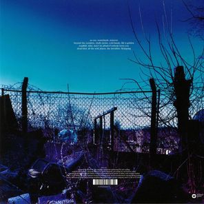 Suede / The Blue Hour (2LP)