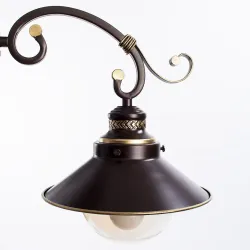 Потолочная люстра Arte Lamp