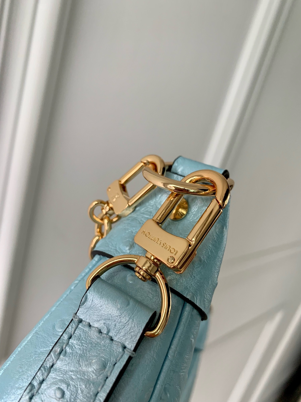 Louis Vuitton Loop