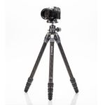 Штатив Benro TTOR14CGX25 Tortoise с шаровой головой