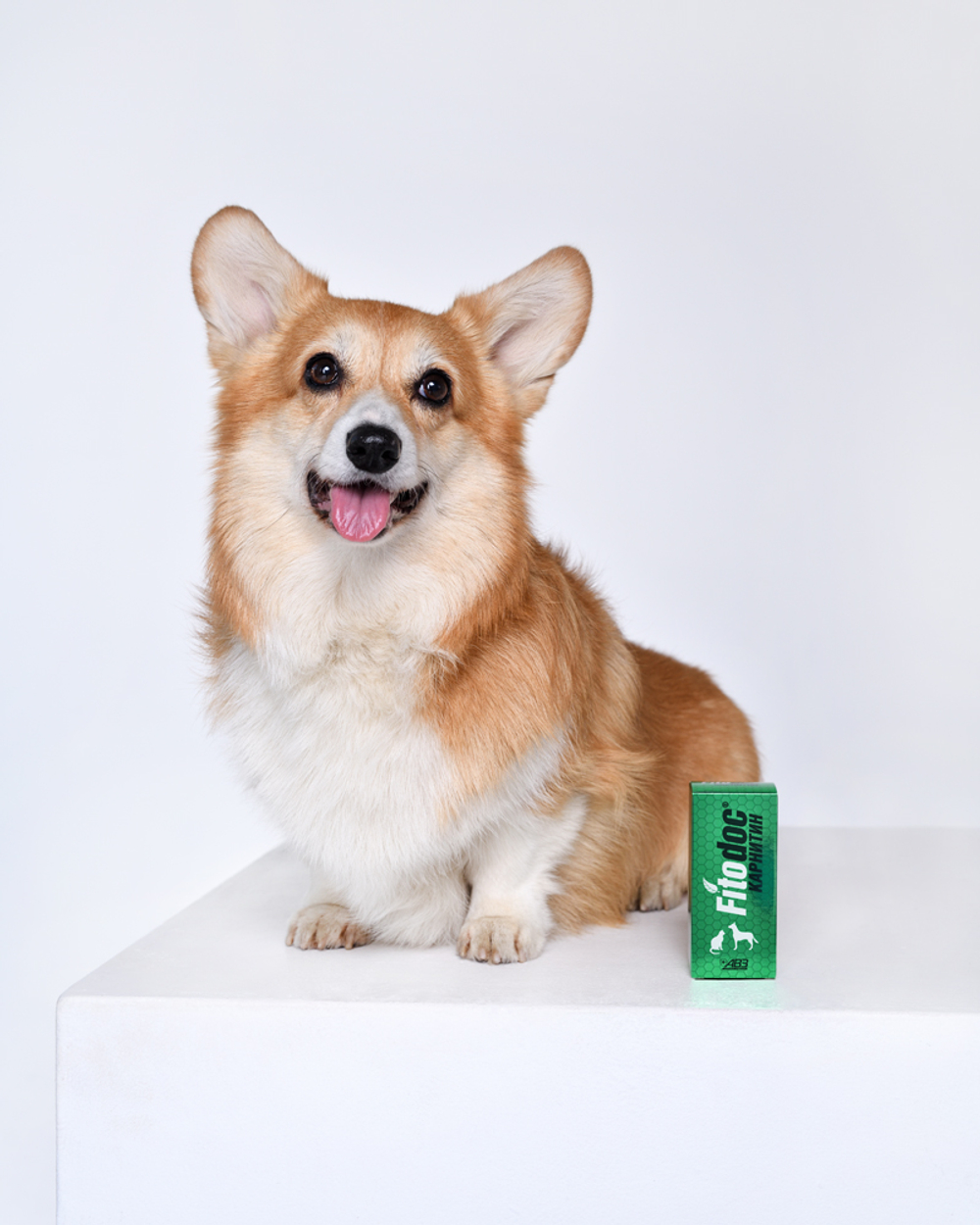 FITODOC Карнитин для улучшения обмена веществ у животных, 50 мл