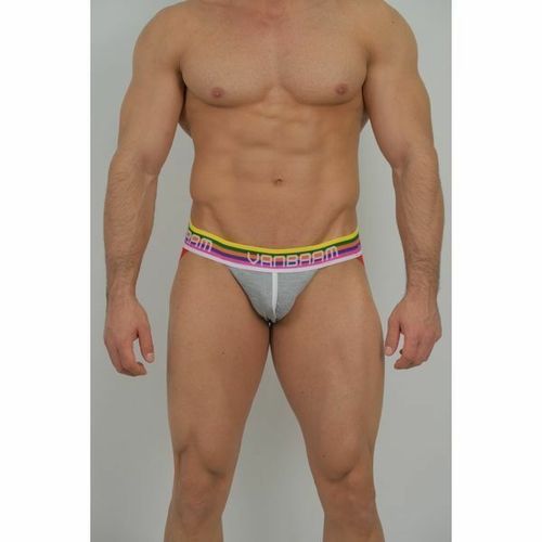 Мужские джоки серые Van Baam VB-43614