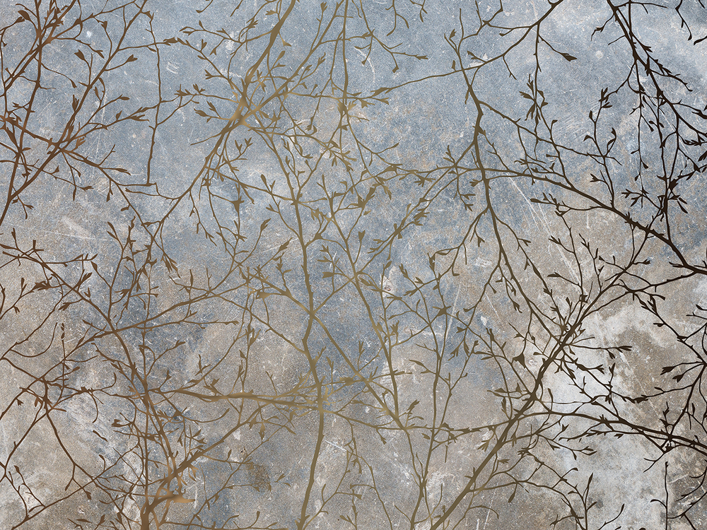 Коллекция VETVE 21