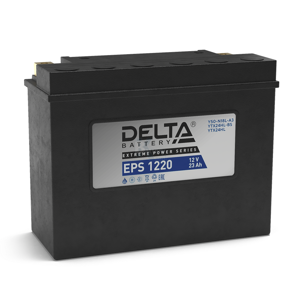Аккумулятор Delta EPS 1220 (YTX24HL-BS, YTX24HL)