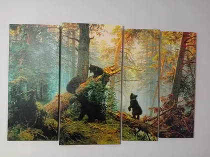 Елена Линенко