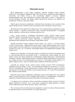 Волк | А. А. Соколов