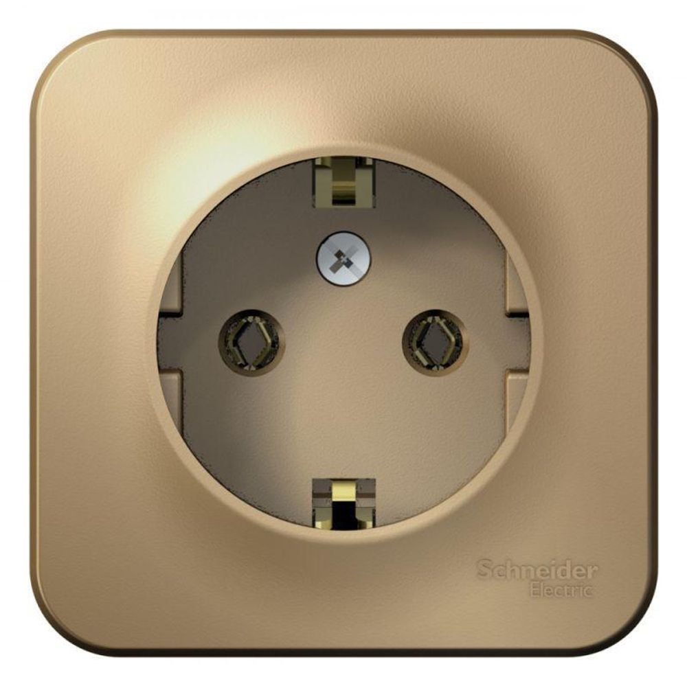 Розетка 1-м ОП Blanca 16А IP20 250В с заземл. без защ. шторок с изолир. пластиной титан SE BLNRA010114 Розетка 1-м ОП Blanca 16А IP20 250В с заземл. без защ. шторок с изолир. пластиной титан SE BLNRA010114