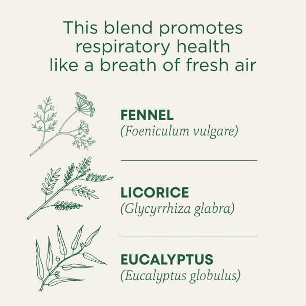 Traditional Medicinals, Breathe Easy, эвкалипт и мята, без кофеина, 16 чайных пакетиков в упаковке, 24 г (0,85 унции)