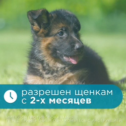 Капли на холку от блох, клещей, глистов, а также для профилактики дирофиляриоза у собак и щенков от 20 до 40 кг, Празицид-комплекс НЕО, Апиценна, 4 мл, 1 пипетка