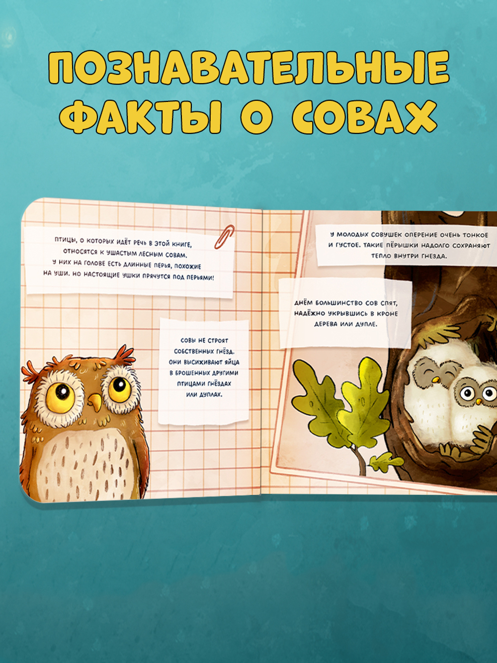 Книжки-картонки. Совушка в лесу. Первая книга малыша о природе