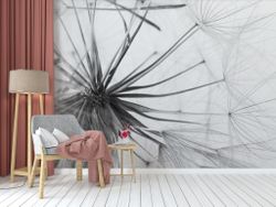 Обои одуванчик