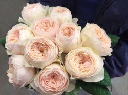 Эмма Вудхаус (Emma Woodhouse)