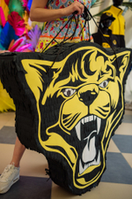 Panthers 5 years Бразильский карнавал