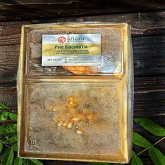 Рис с котлетой по-киевски под соусом бешамель/280 гр