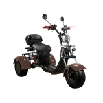 Skyboard TRIKE BR40-3000 PRO FAST OFF-ROAD