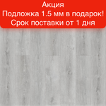 Замковая SPC-плитка Royce Enjoy