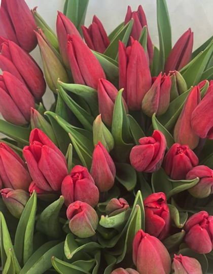 Банч 100 тюльпанов алых