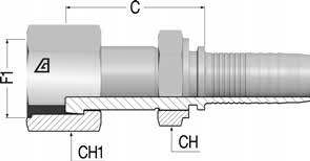 Фитинг DN 12 ORFS (Г) 1